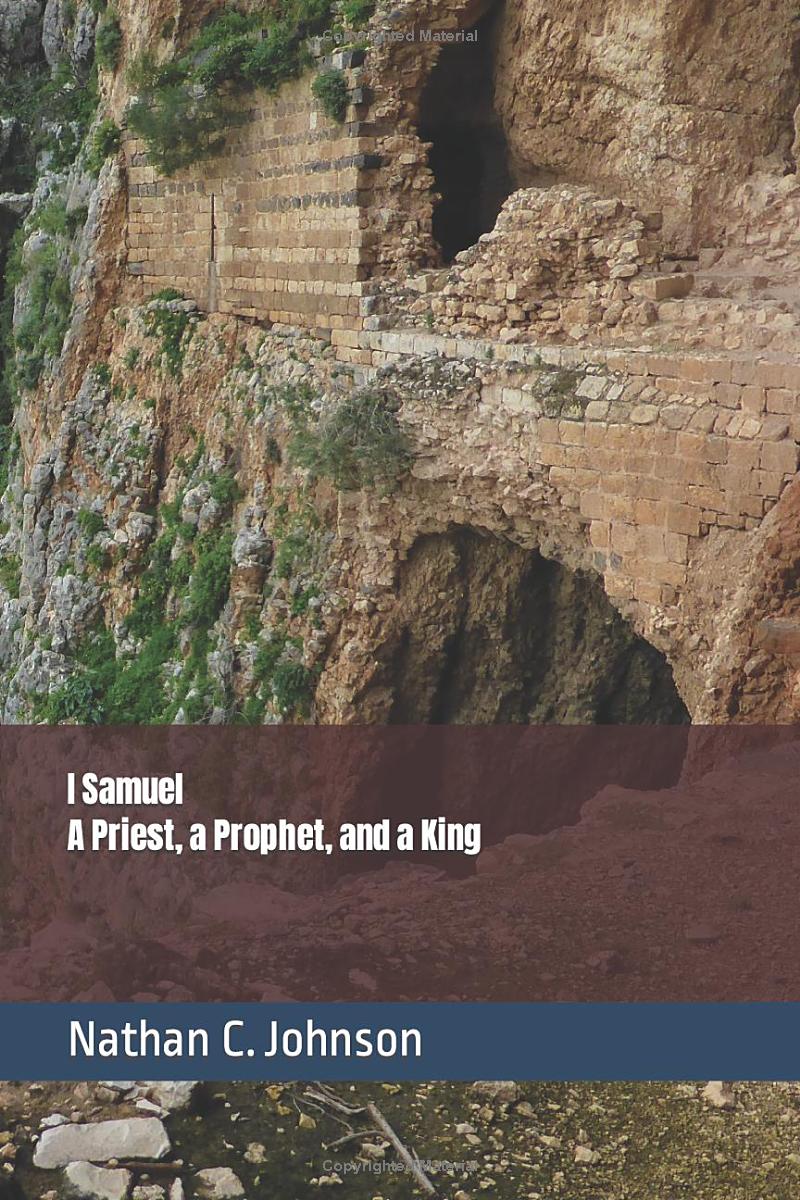 I Samuel: A Priest, a Prophet and a King (Old Testament Commentaries)
